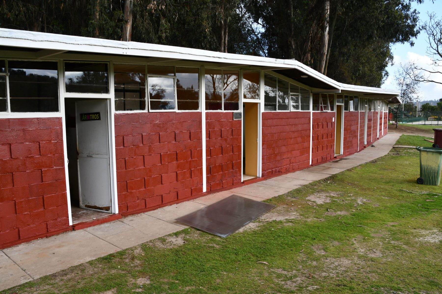 Cancha pasto natural 1