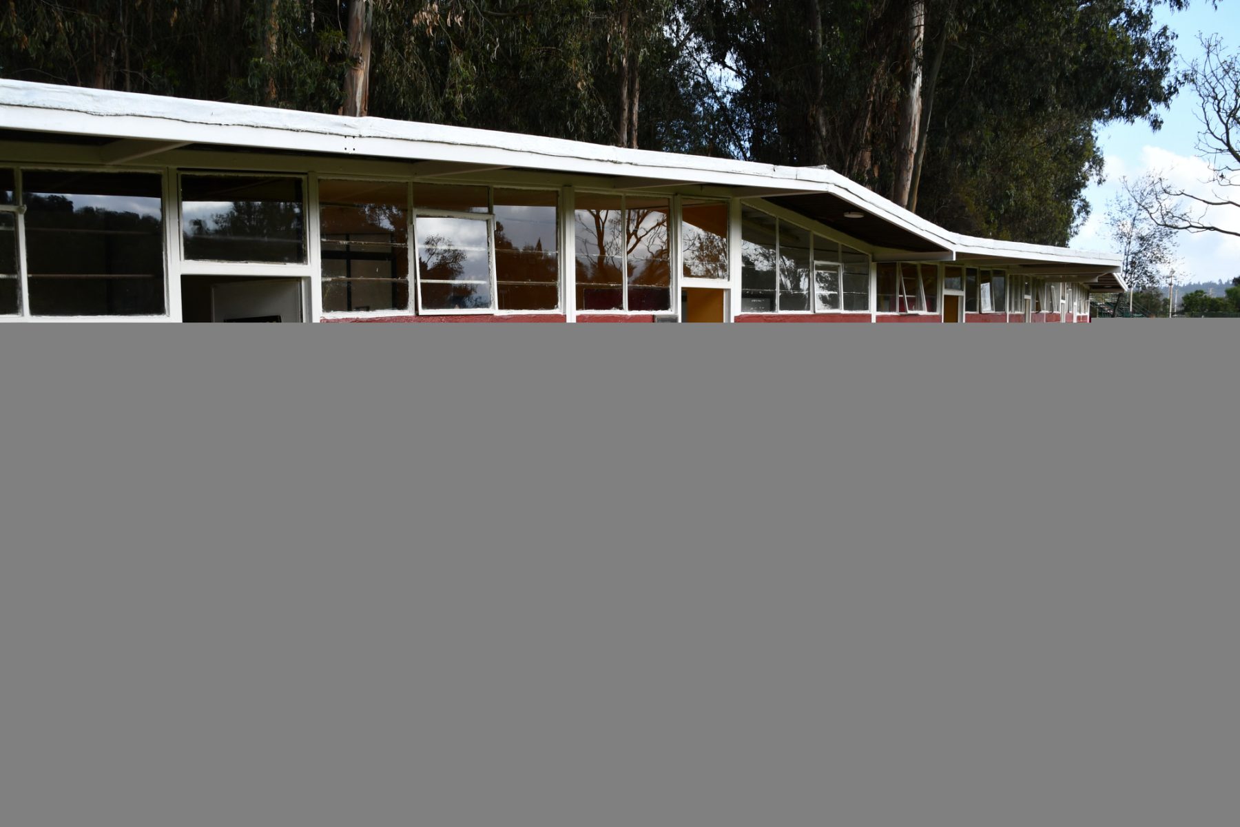 Cancha pasto natural 2
