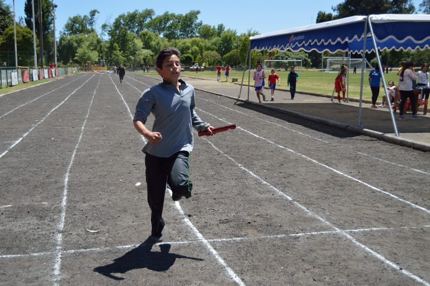 Pista atlética